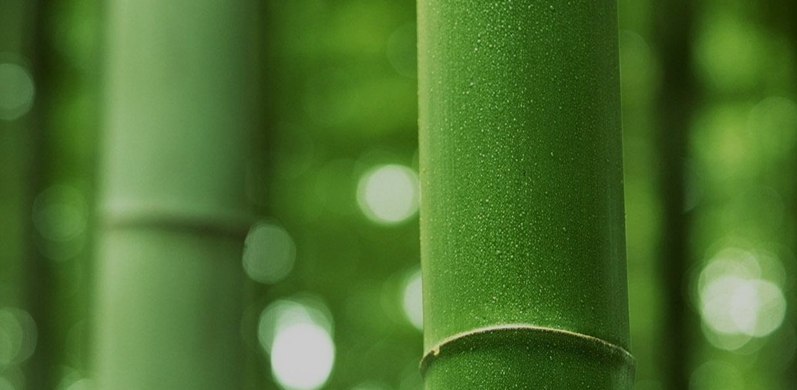 شرکت فناوری نساجی Nantong Tianhong ، Ltd.