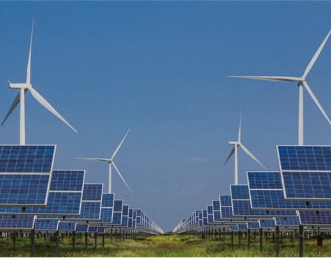 شرکت فناوری نساجی Nantong Tianhong ، Ltd.